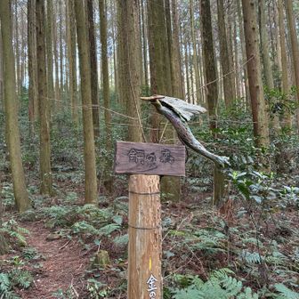 またオブジェが‼️