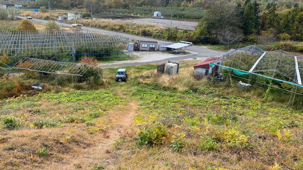 山頂から見た下界😊