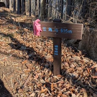 短いですが結構な登りを駆け上がると三角山に到着
「牧馬峠から見ると三角形に見える山」