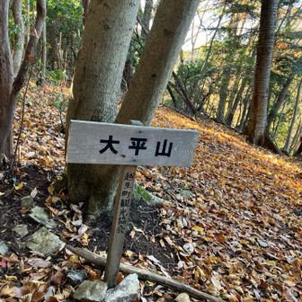 黒山三滝にある大平山です。