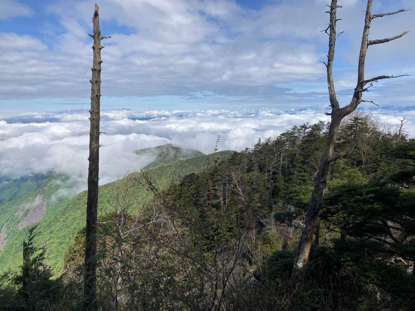 雲海が