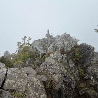 途中すれ違った下山者によると、山頂で虫の大群に刺されまくって大変だったとか。人も虫も、もういない。