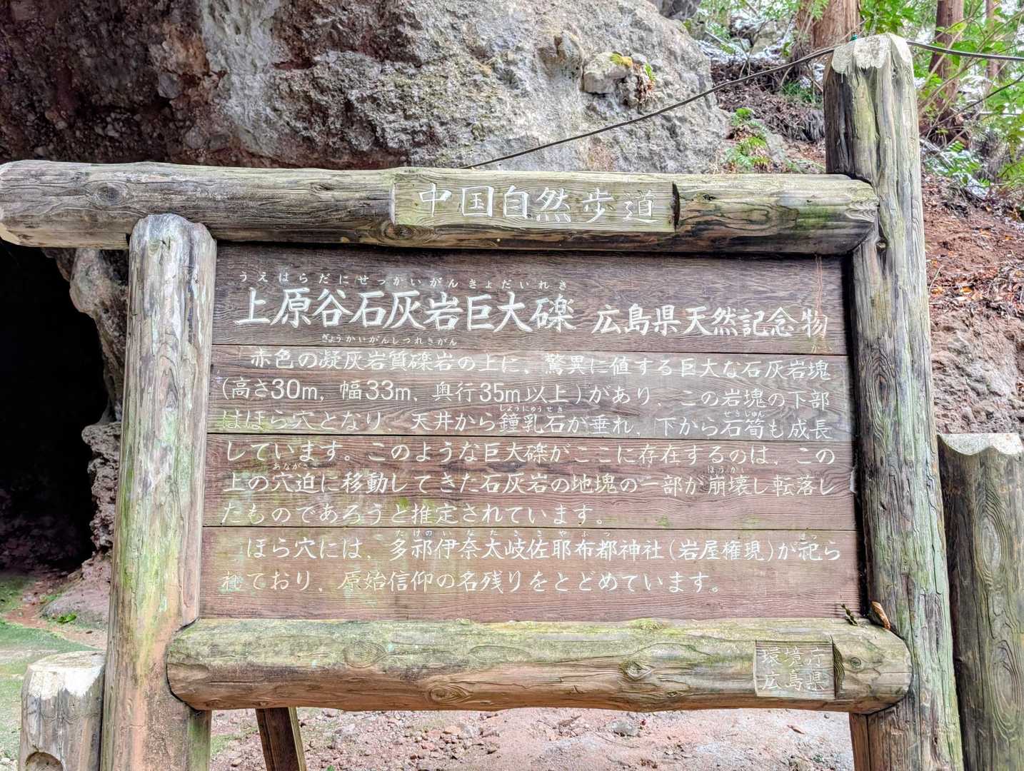 石灰岩の巨大岩壁とのこと