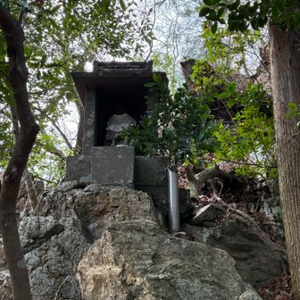 役行者様に花柴奉納🙏