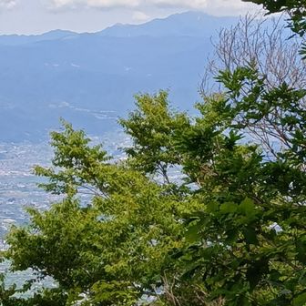 北アルプスも見えるそうだ