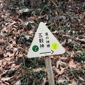 階段をそのまま上がれば山頂ですけど、
五穀神に会いに右へ➡️