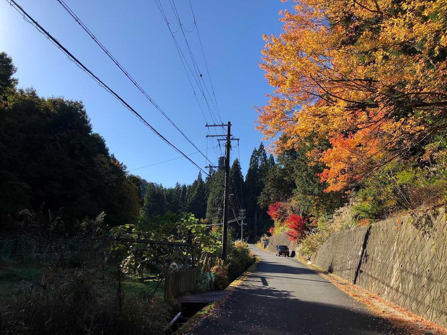 京都一周トレイル 北山西部コースの写真