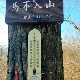 馬不入山山頂✨
8℃暖かいよ☺️