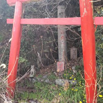 壊れかけた鳥居😐