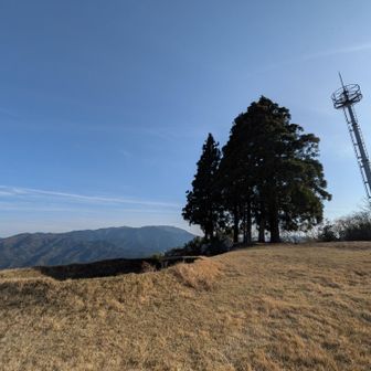 ３時間以上滞在。
しかも貸切。
そして小一時間ほど居眠りまでしてしまい…🤤。

久々にココロが無になれたというかいつもは早朝か夕方にファストハイクでささっと上り下りする山といった位置づけだけど…。

空を見る・自然が奏でるＢＧＭを聴く・日の光を浴びて体が温かくなる…。

自然の恩恵を存分に感じで浄化された感じ☺️。

後ろ髪を引かれる思いで下山開始。

いつもの下山コースへ向かうも、いや今日は下山後に桜見に行きたいのでピストンに変更。

この変更から思わぬ幸運の連続が始まり…、