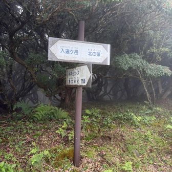 迷ったけど、奥之院へ➡️