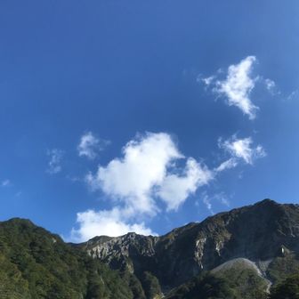 わさび