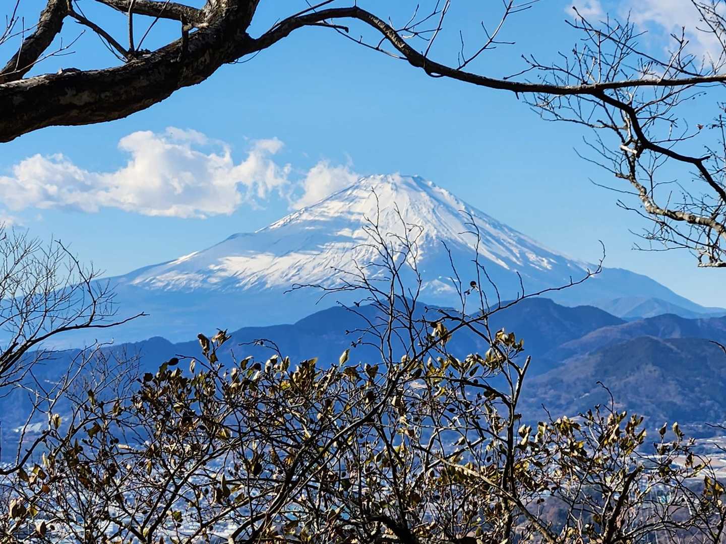 途中からは富士山が綺麗に見えます✨