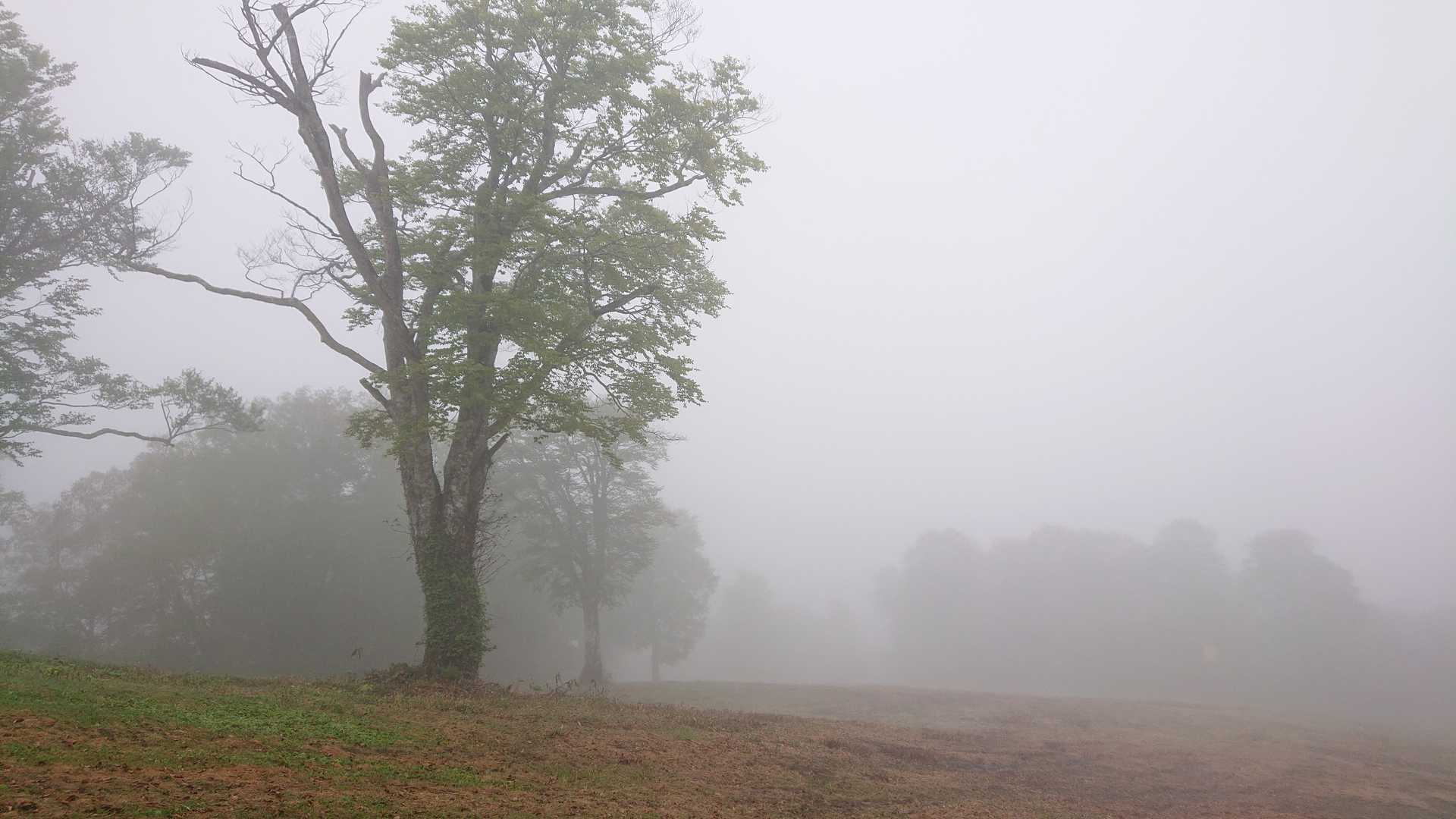 下山します
吹き上がってくる小雨が気持ちイイ👍