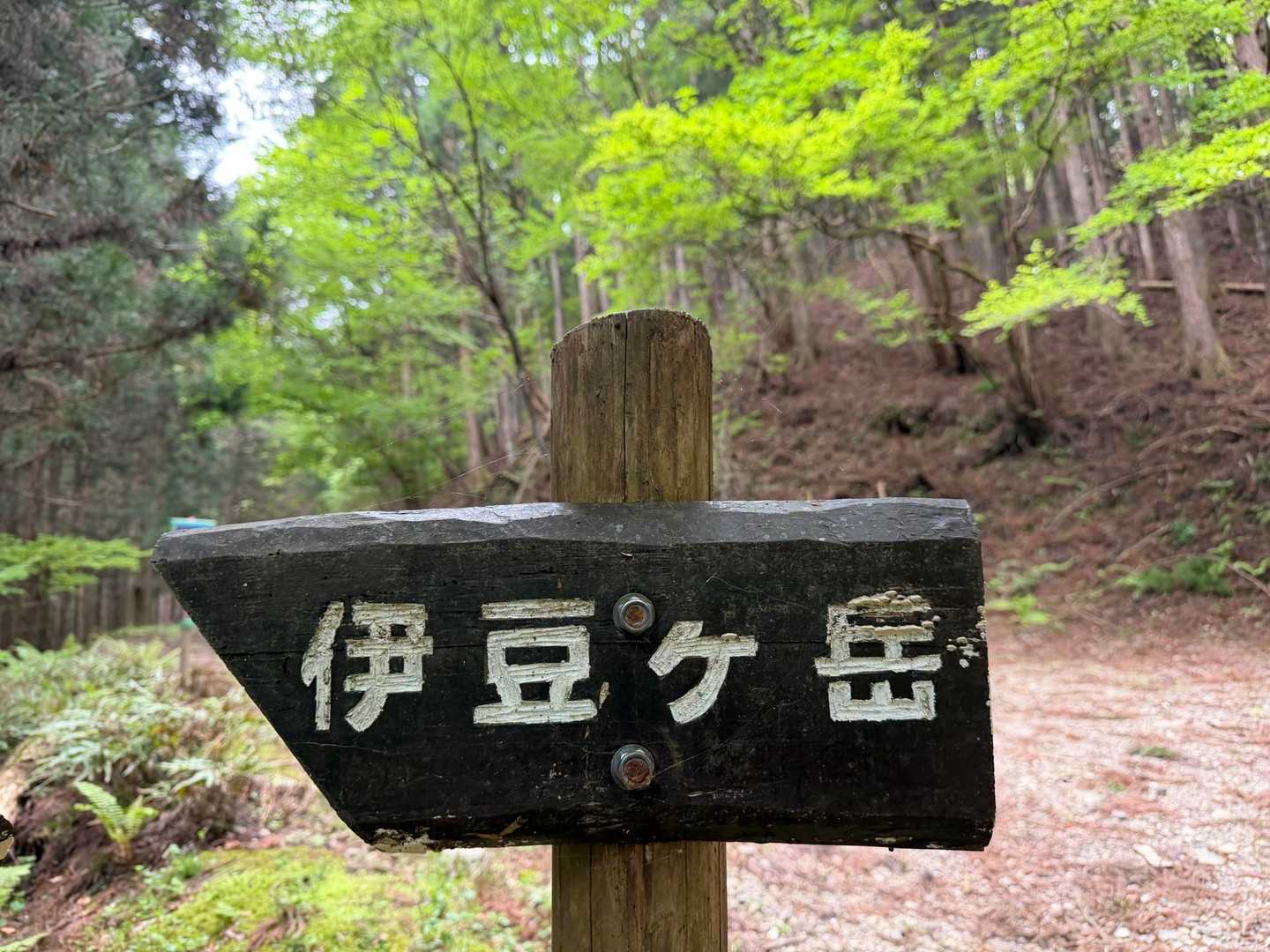 伊豆ヶ岳を目指します！