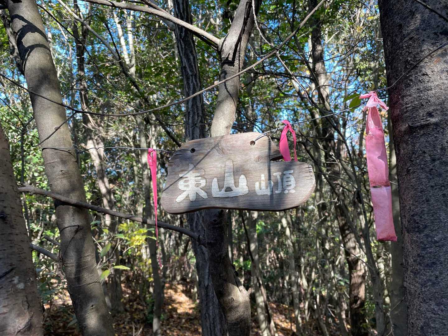 栗栖バス停-栗栖神社-桃山ルート入口-桃山-天神山-東山- 周回コースの写真