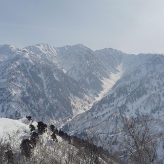 猫又谷の存在感が凄い。