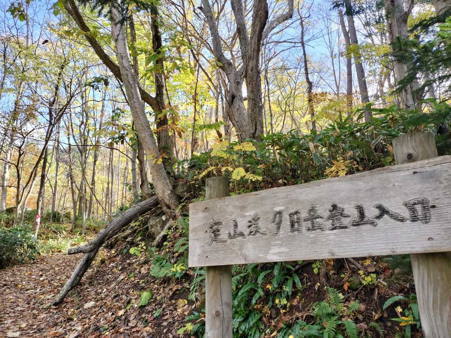 登山口