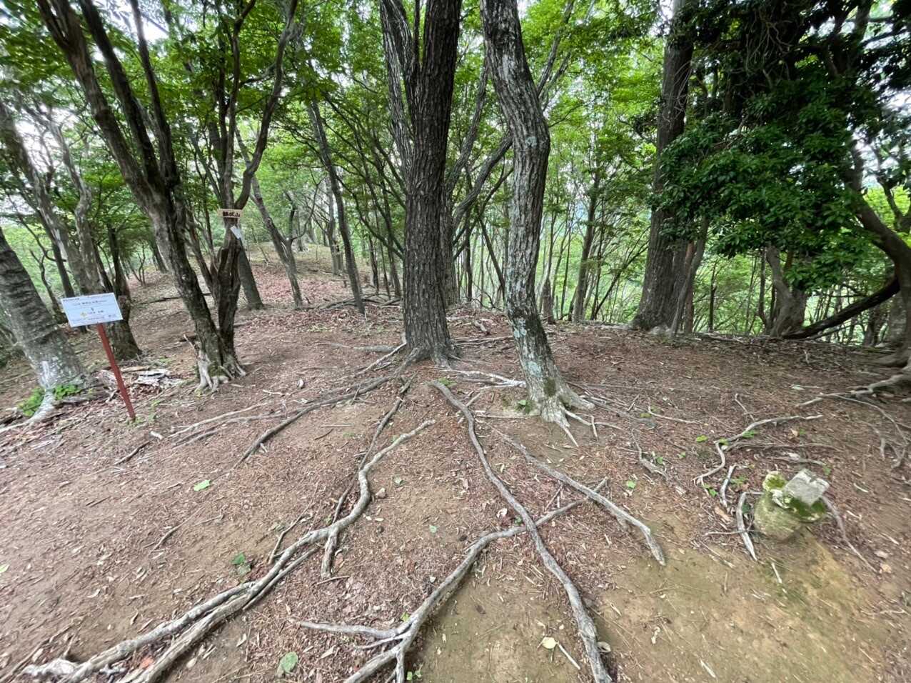 鉢伏山の写真