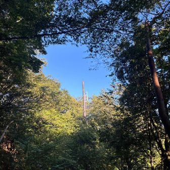 駐車場から見た青空。期待が高まります。