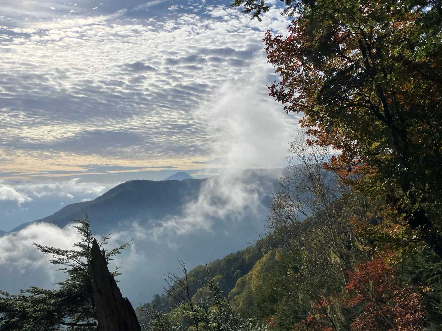 富士山の頭