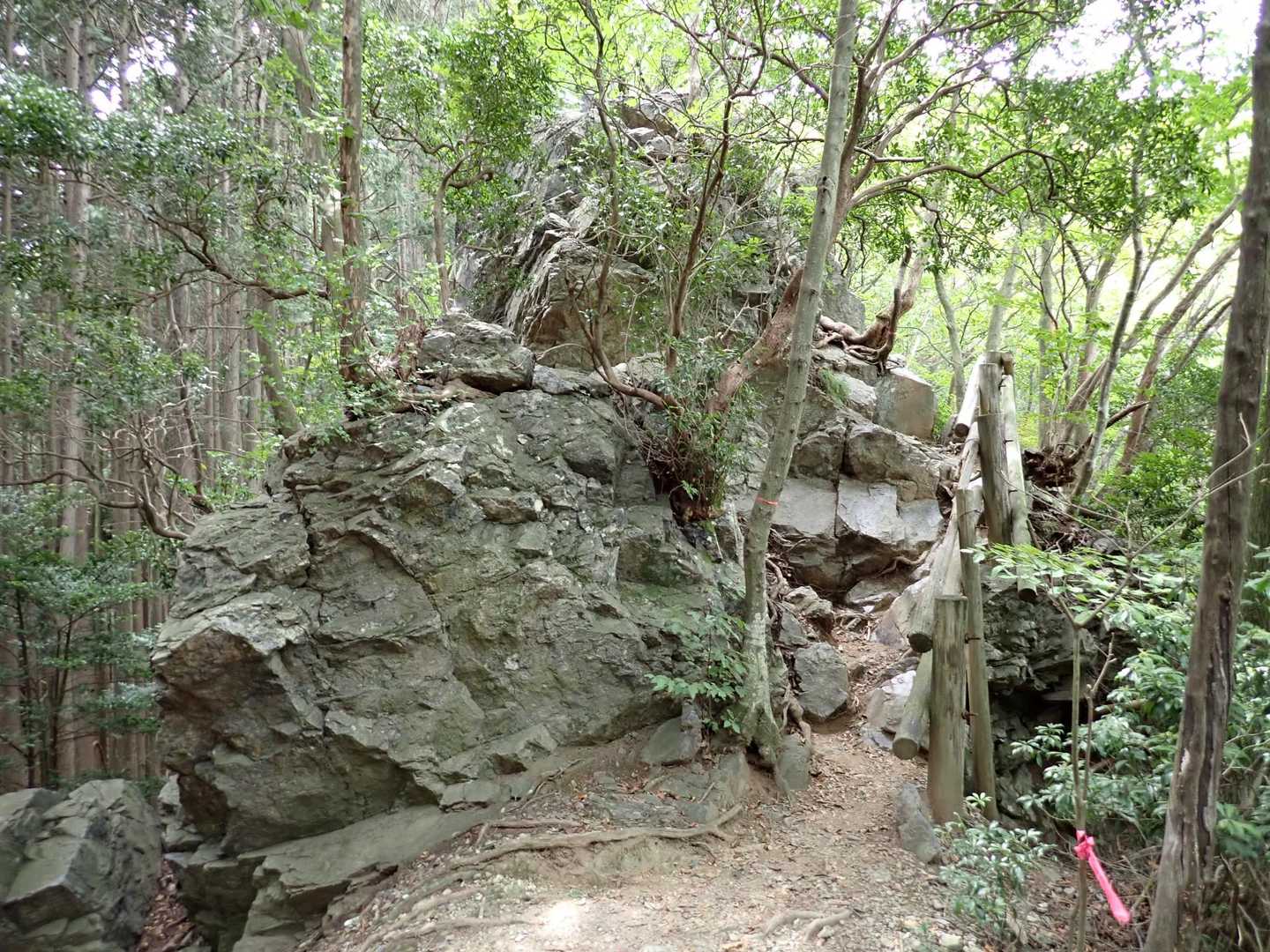 岩茸石の裏側です。こちらが表かも？
