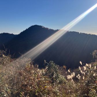 東山の先で景色を眺めてたら、ガサゴソ音がして、焦って一瞬迷子になります😱