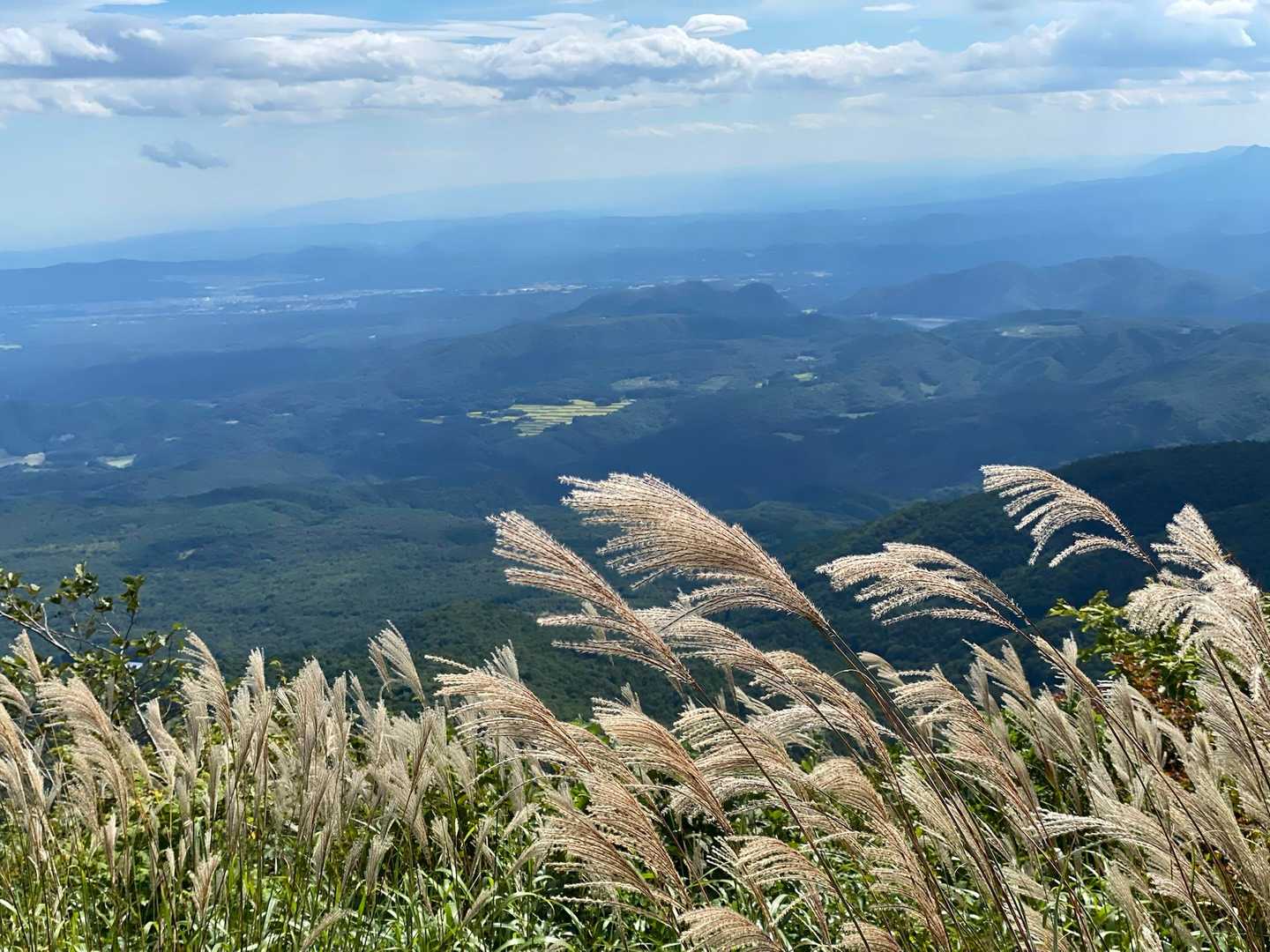 素晴らしい景色😍

ススキが風にゆらゆら揺れて秋の風情を感じます🌾
