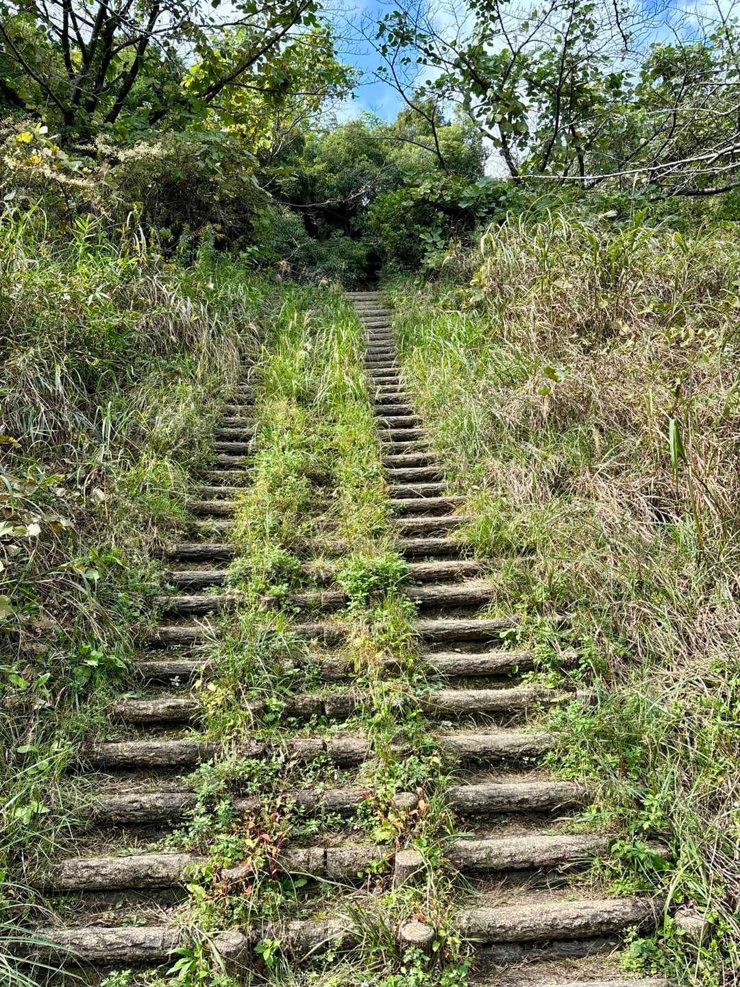 健脚コース-多度山-眺望満喫コース 周回の写真