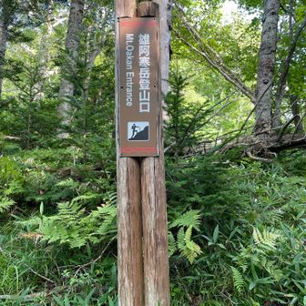 あー、今日も想定外の登山道で疲れた〜😮‍💨
北海道の3座、無事登頂できて良かった👏
すごく濃密な3日間だった👍