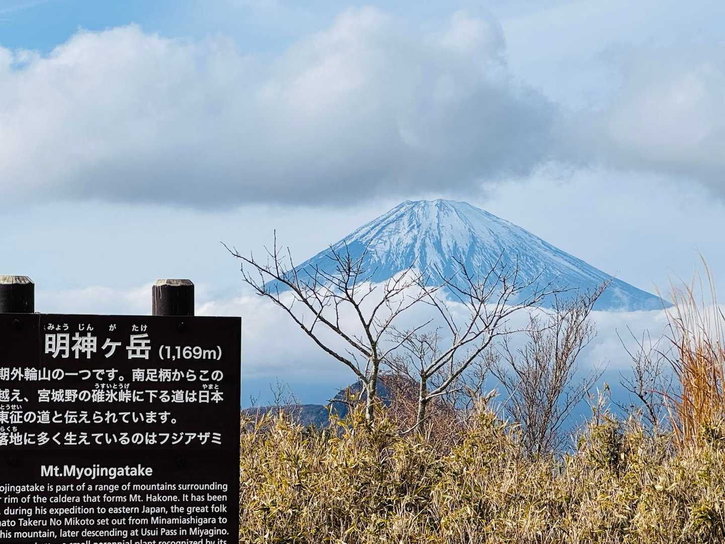 公時神社登山口-金時山-矢倉沢峠-明神ヶ岳-宮城野 縦走コースの写真