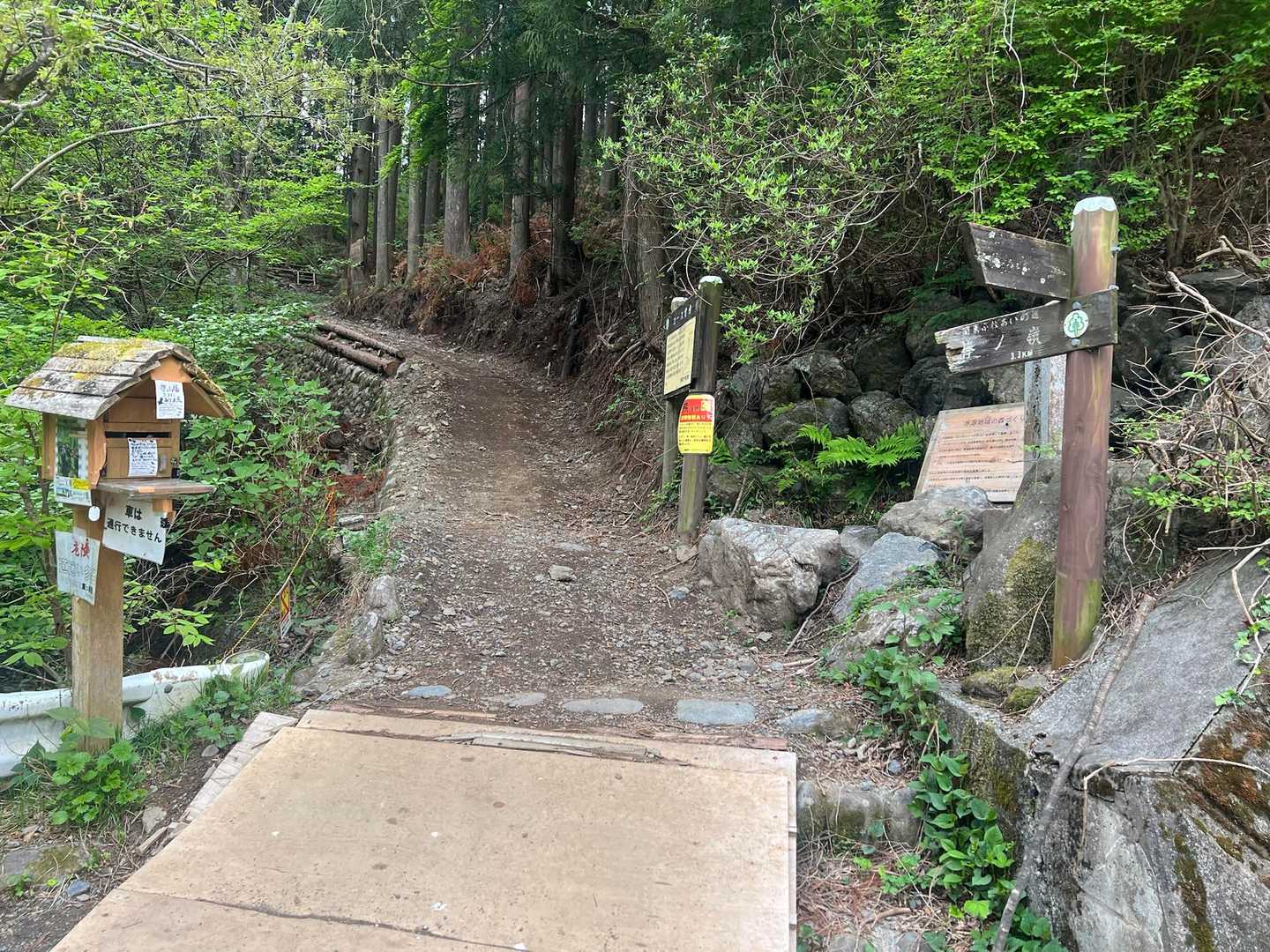 登山口近くに車を停めてスタート。