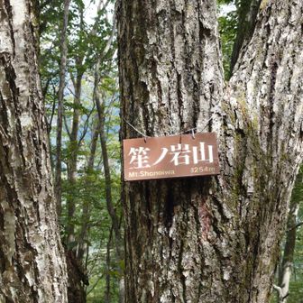 最初のピーク。
水飲んでたら虫が集まってきた…