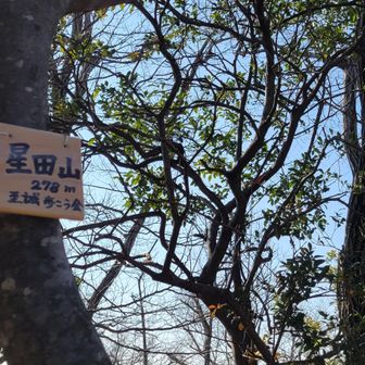 11座め　ここの手前は滑りやすかったですが、きちんとロープやゴムチューブが取り付けられてました。