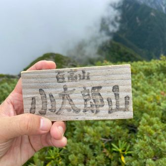 百高山 小太郎山