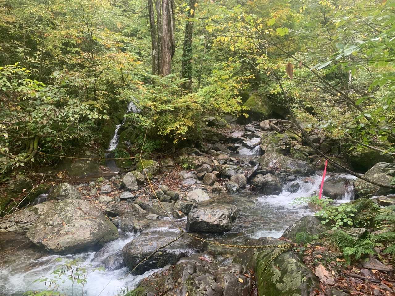 濡れずに渡れる気がしなかった
右足水没(。-∀-)ﾀﾞﾖﾈｰ