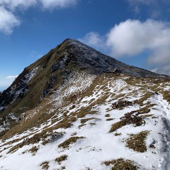 スバルドミンゴ