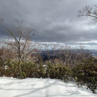 砥石山山頂は木があって景色が見えにくい