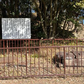 　古墳の石室　です。