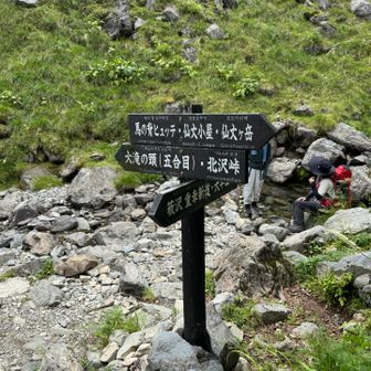 未踏の新道へ！