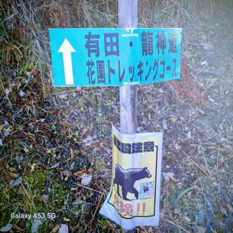 では、この入口より標高差500mほどの山道を一気に登ります。