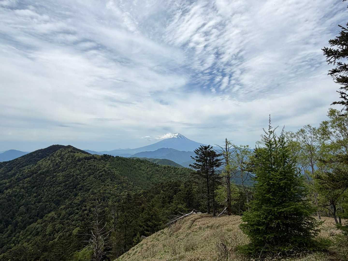 すずらん昆虫館前バス停-牛奥ノ雁ヶ腹摺山-川胡桃沢の頭 縦走コースの写真