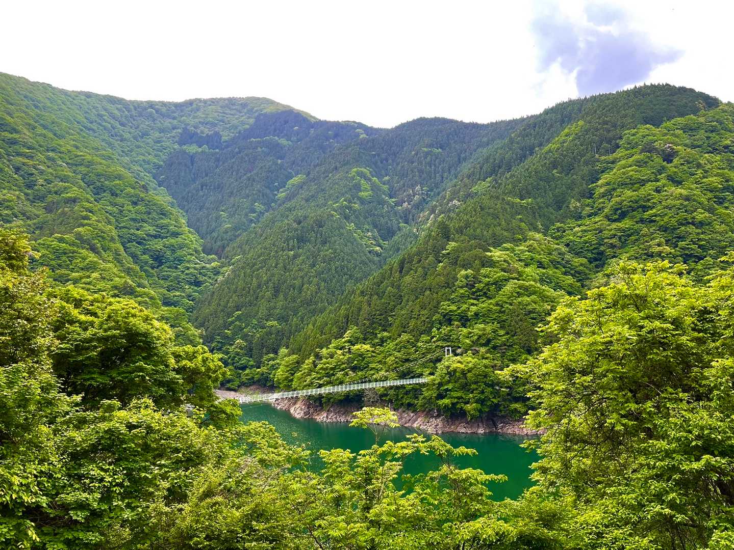 無事下山、静かな登山だった。。。
車で片付けていると通りがかりの年配の方が話しかけてくる。

地元の方、登山経験少なく先月1人で登ったと言う。ただ藪は慣れているようで、少しづつ距離を伸ばし、3回目で登れたと。一気に話に引き込まれて長話、、、
今日は釣り、ヤマメとイワナ二匹見せてもらい、今夜は塩焼き🤤さぞ美味しかったでしょう。
お互い気をつけて山を楽しみましょう。