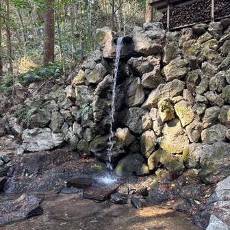 これが禊の滝！
今日は2万歩歩きました！
