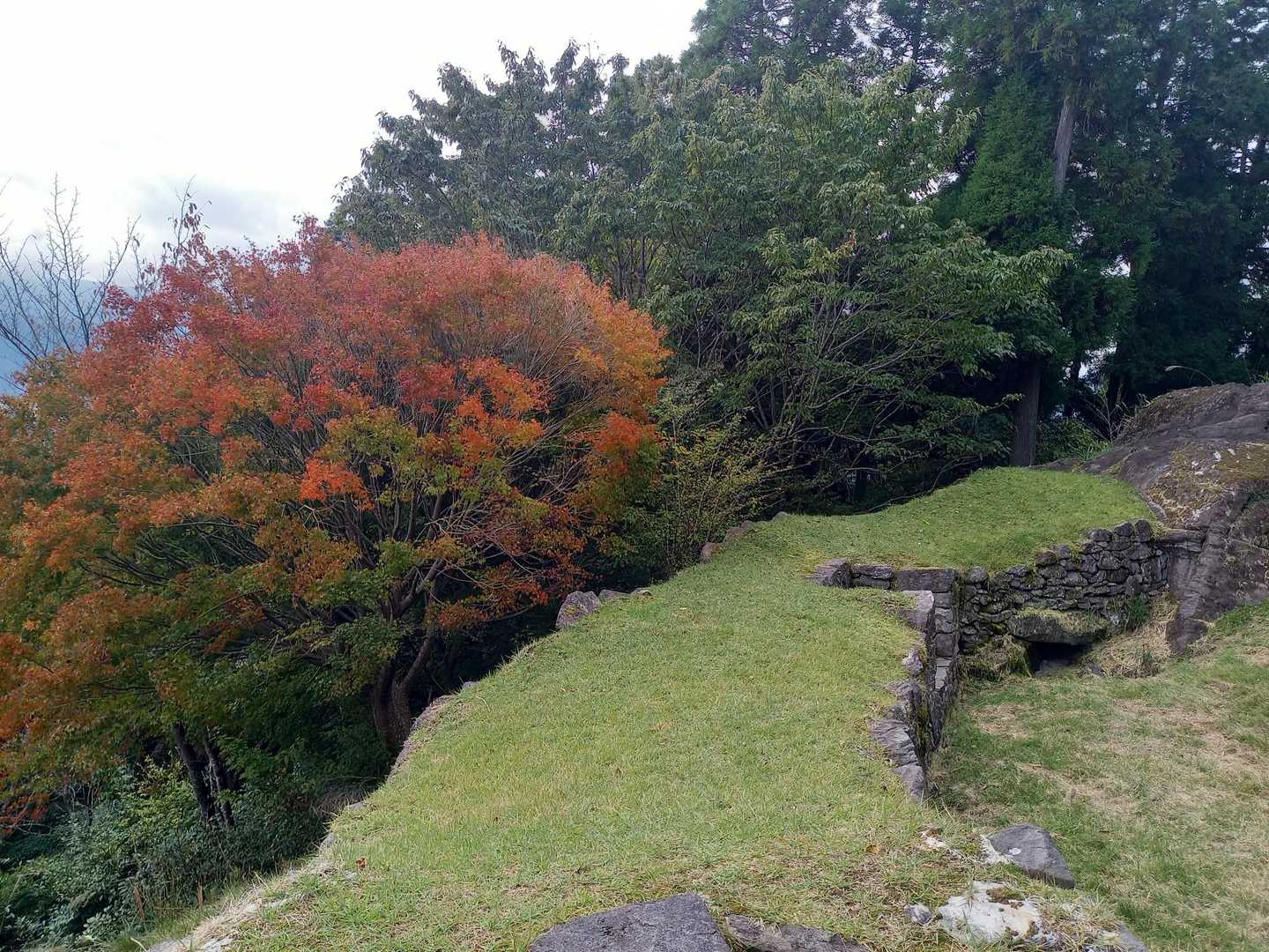 駐車場
１１月はじめ
少しだけ紅葉