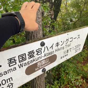 ここから折り返しか…雨が降る前に戻ろう🚶