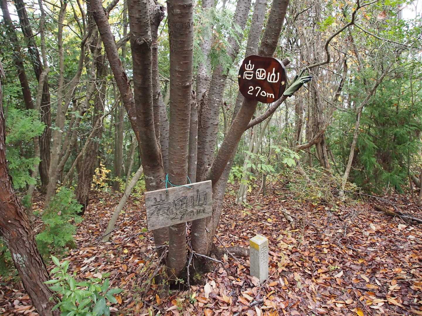 と思いきやすぐ隣にあった