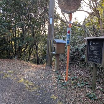 飛渡谷道です
そんなに長くない山道ですわ