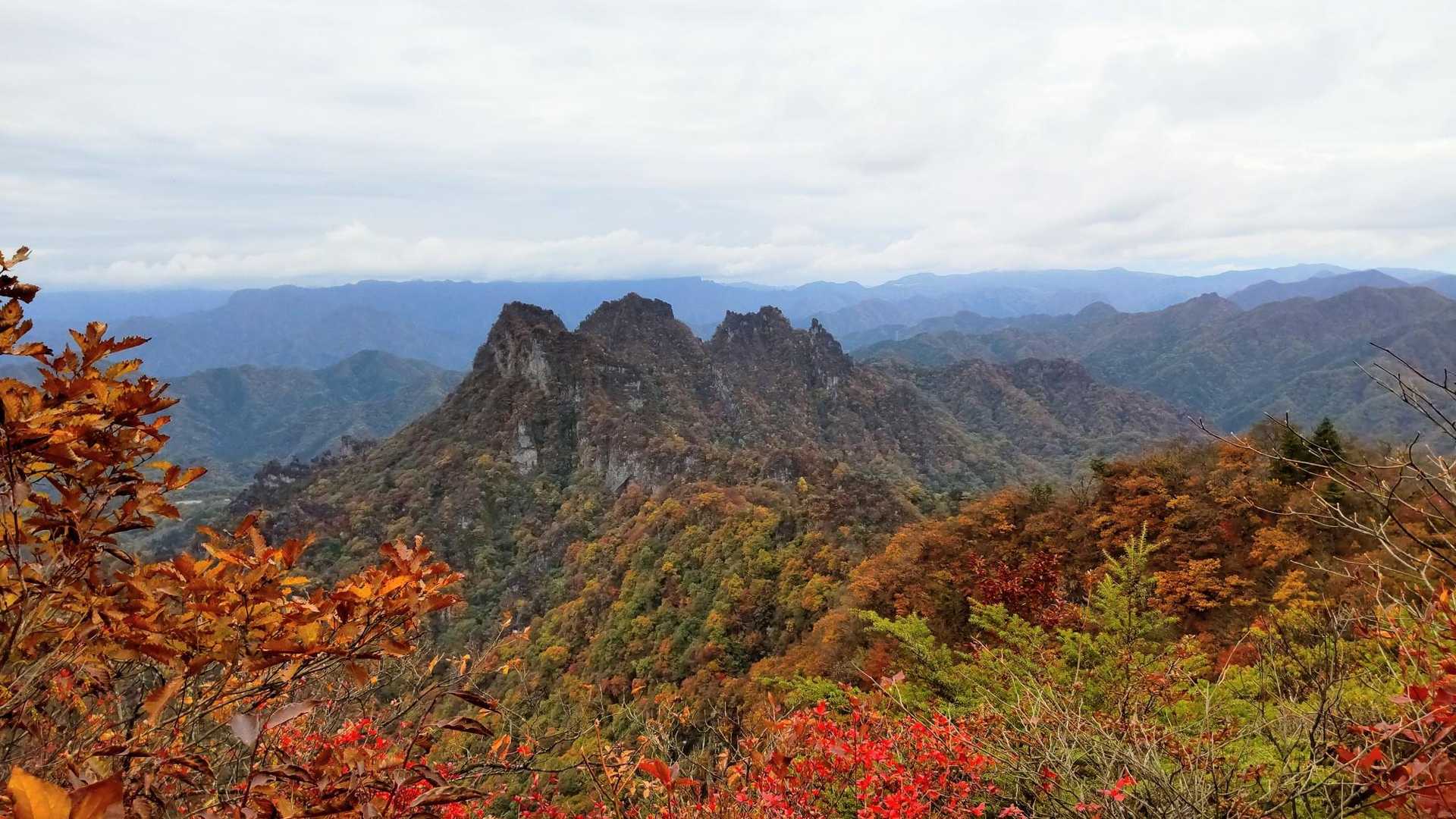 相馬岳からバラ尾根を超えて、正面の金洞山に行きますよ。