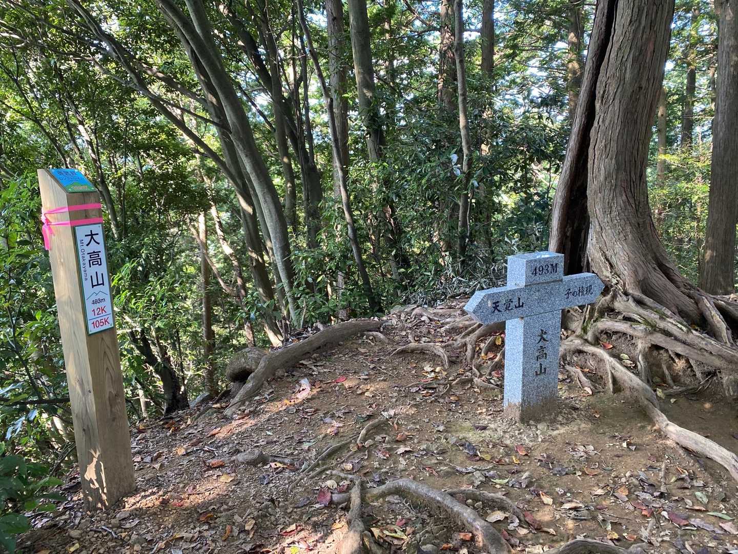 大高山